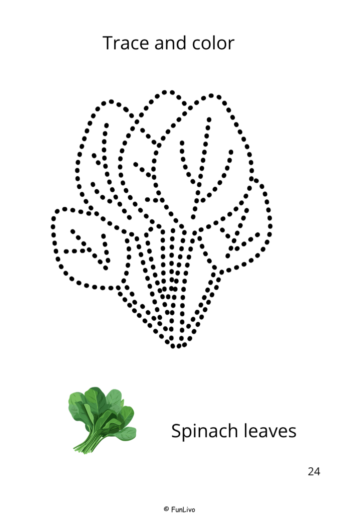 Spinach Leaves Vegetable Tracing and Coloring Worksheets for Preschool Kids