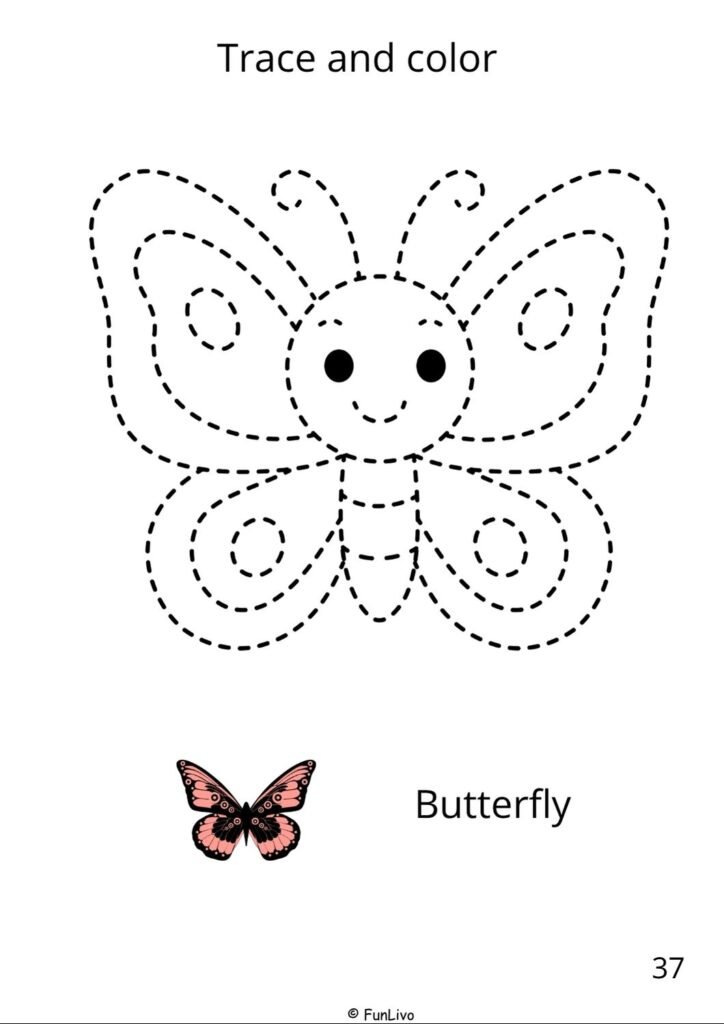 Download Free Butterfly Worksheet