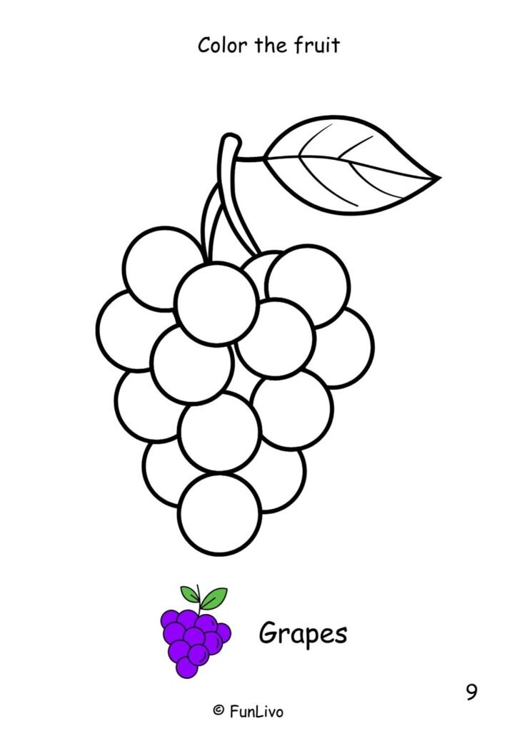 Grapes Fruit Coloring Worksheets for Preschool Kids