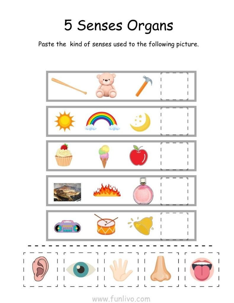 Cut and Paste Sense Organ Worksheets for Preschool Kids
