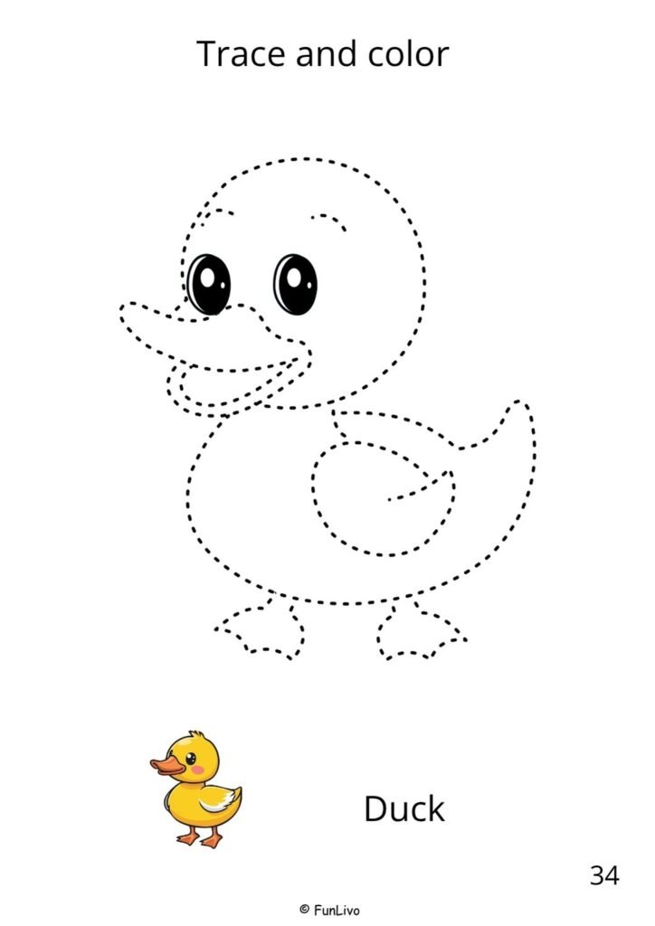 Duck farm animal tracing and coloring worksheet for preschool kids