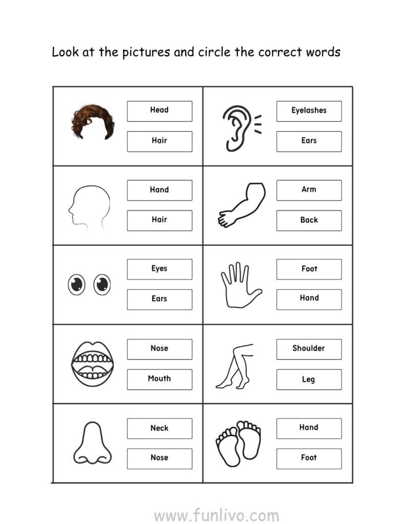 Body Parts Matching Activity Worksheets for Preschool Kids