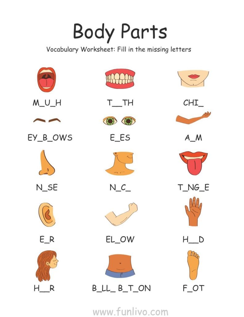 Body Parts fill in blanks. Activity Worksheets for Preschool Kids