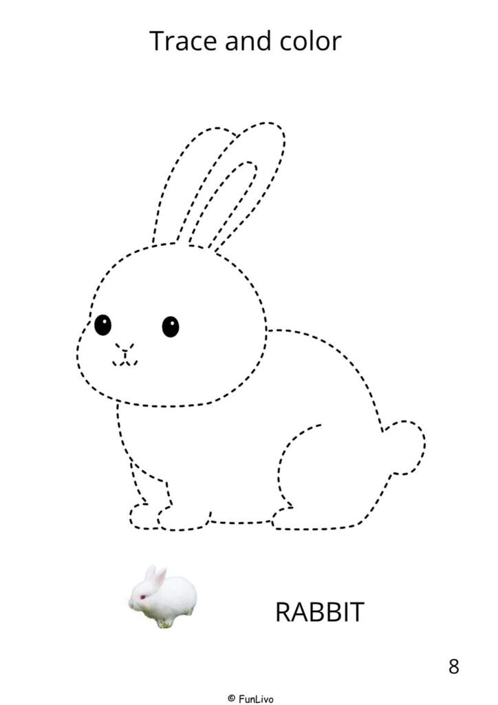 Rabbit farm animal tracing and coloring worksheet for preschool kids