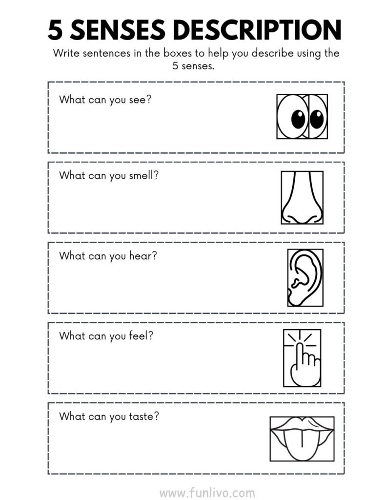 Sense Organ Activity Worksheets for Preschool Kids
