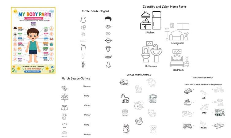 LKG EVS and GK Sample Worksheets